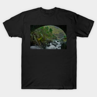 DAN BONT OGWEN T-Shirt